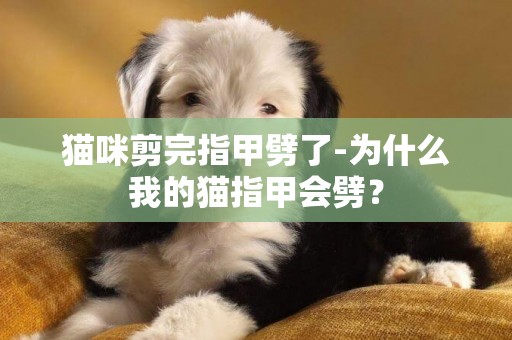 貓咪剪完指甲劈了-為什么我的貓指甲會劈？