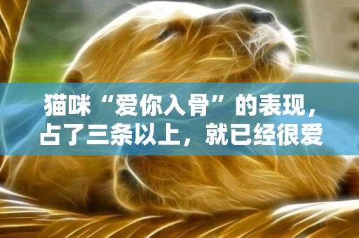 貓咪“愛你入骨”的表現，占了三條以上，就已經很愛你的 