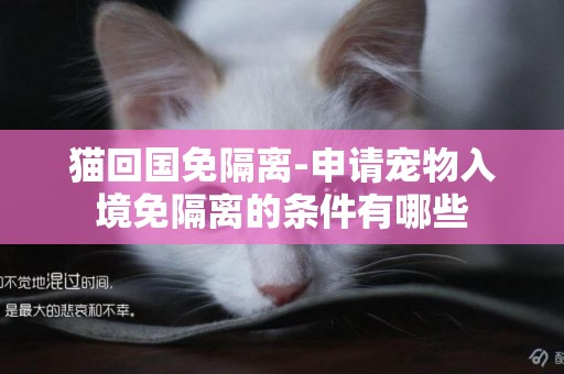 貓回國免隔離-申請寵物入境免隔離的條件有哪些