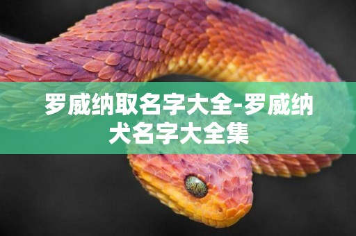 羅威納取名字大全-羅威納犬名字大全集