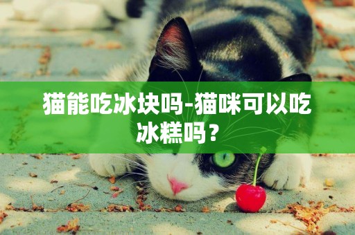 貓能吃冰塊嗎-貓咪可以吃冰糕嗎？