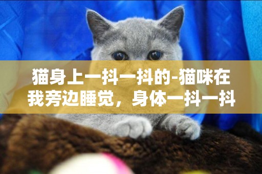 貓身上一抖一抖的-貓咪在我旁邊睡覺，身體一抖一抖的怎么回事