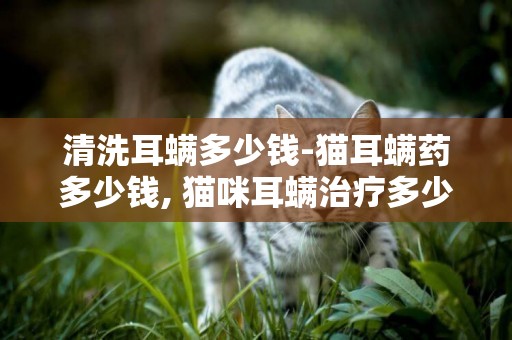 清洗耳螨多少錢-貓耳螨藥多少錢, 貓咪耳螨治療多少錢