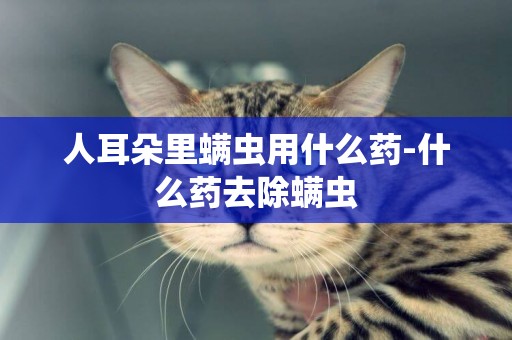 人耳朵里螨蟲用什么藥-什么藥去除螨蟲
