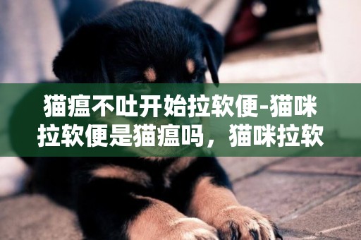 貓瘟不吐開始拉軟便-貓咪拉軟便是貓瘟嗎，貓咪拉軟便是什么病