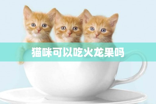 貓咪可以吃火龍果嗎