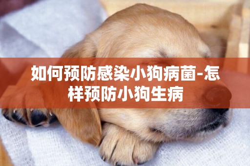 如何預防感染小狗病菌-怎樣預防小狗生病