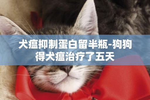 犬瘟抑制蛋白留半瓶-狗狗得犬瘟治療了五天
