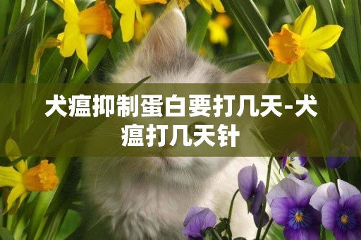 犬瘟抑制蛋白要打幾天-犬瘟打幾天針
