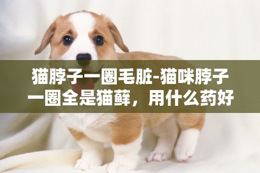 貓脖子一圈毛臟-貓咪脖子一圈全是貓蘚，用什么藥好