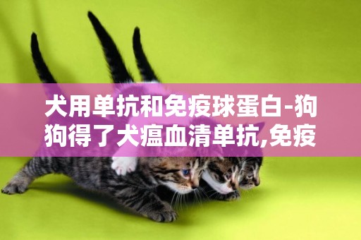 犬用單抗和免疫球蛋白-狗狗得了犬瘟血清單抗,免疫球蛋白能同時打嗎