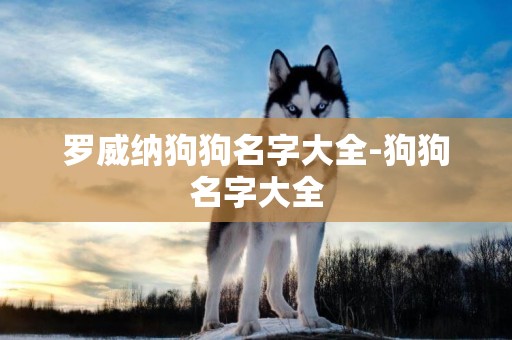 羅威納狗狗名字大全-狗狗名字大全