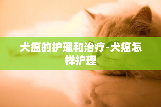 犬瘟的護理和治療-犬瘟怎樣護理