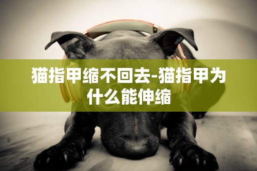 貓指甲縮不回去-貓指甲為什么能伸縮