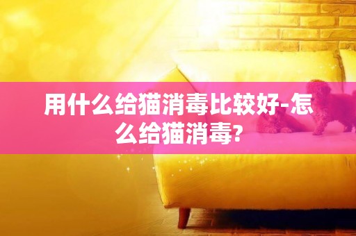 用什么給貓消毒比較好-怎么給貓消毒?