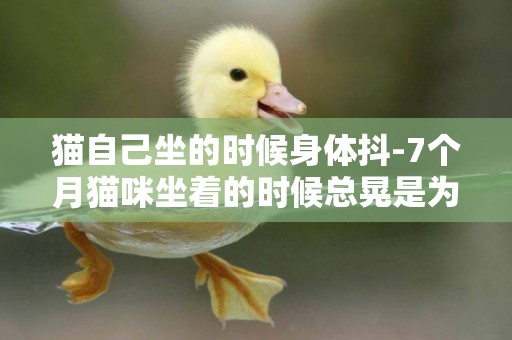 貓自己坐的時候身體抖-7個月貓咪坐著的時候總晃是為什么？