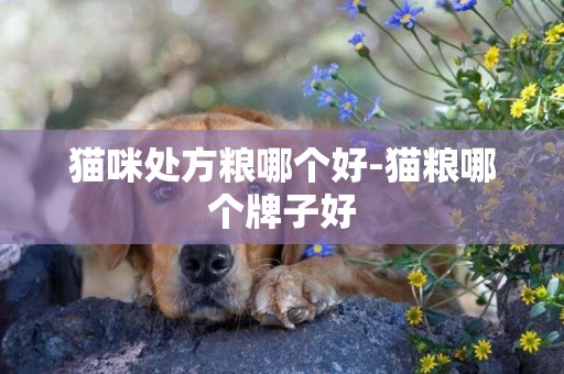 貓咪處方糧哪個好-貓糧哪個牌子好