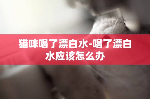 貓咪喝了漂白水-喝了漂白水應該怎么辦