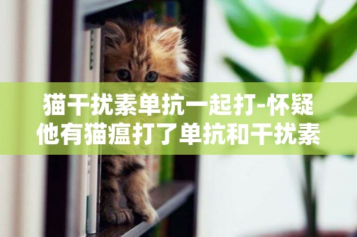貓干擾素單抗一起打-懷疑他有貓瘟打了單抗和干擾素有什么影響貓小貓吃奶有影響嗎？