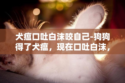 犬瘟口吐白沫咬自己-狗狗得了犬瘟，現在口吐白沫，怎么辦