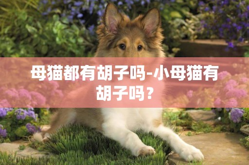母貓都有胡子嗎-小母貓有胡子嗎？