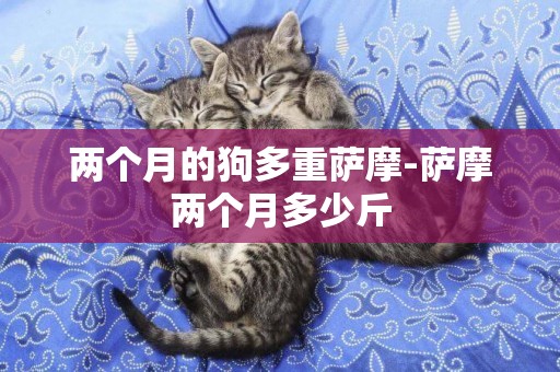兩個月的狗多重薩摩-薩摩兩個月多少斤
