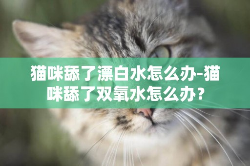 貓咪舔了漂白水怎么辦-貓咪舔了雙氧水怎么辦？