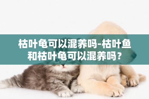 枯葉龜可以混養嗎-枯葉魚和枯葉龜可以混養嗎？