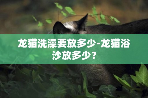 龍貓洗澡要放多少-龍貓浴沙放多少？