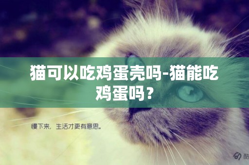 貓可以吃雞蛋殼嗎-貓能吃雞蛋嗎？