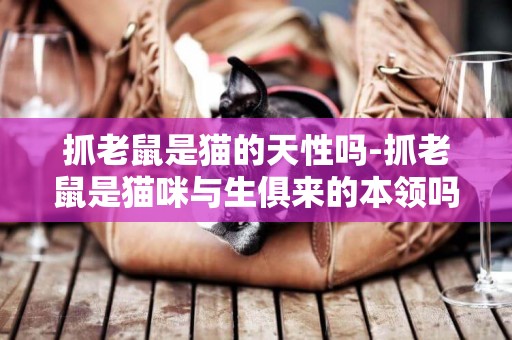 抓老鼠是貓的天性嗎-抓老鼠是貓咪與生俱來的本領嗎？