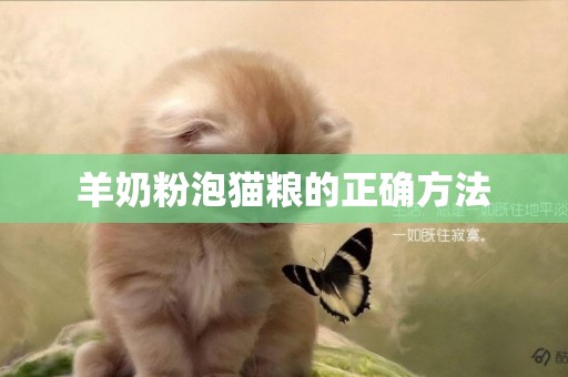 羊奶粉泡貓糧的正確方法