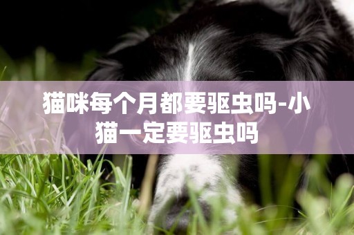貓咪每個月都要驅蟲嗎-小貓一定要驅蟲嗎