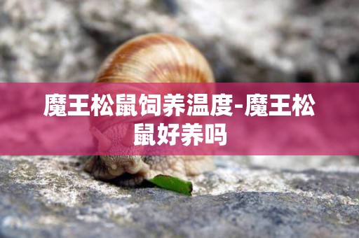 魔王松鼠飼養溫度-魔王松鼠好養嗎