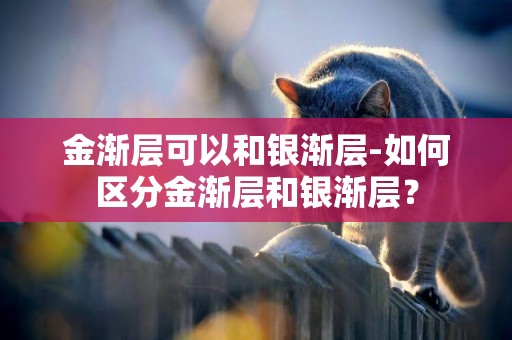 金漸層可以和銀漸層-如何區分金漸層和銀漸層？
