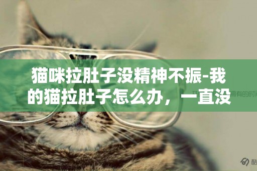 貓咪拉肚子沒精神不振-我的貓拉肚子怎么辦，一直沒精神