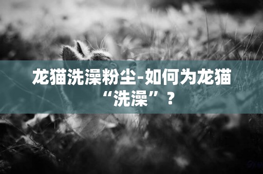 龍貓洗澡粉塵-如何為龍貓“洗澡”？