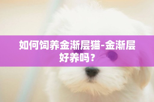 如何飼養金漸層貓-金漸層好養嗎？