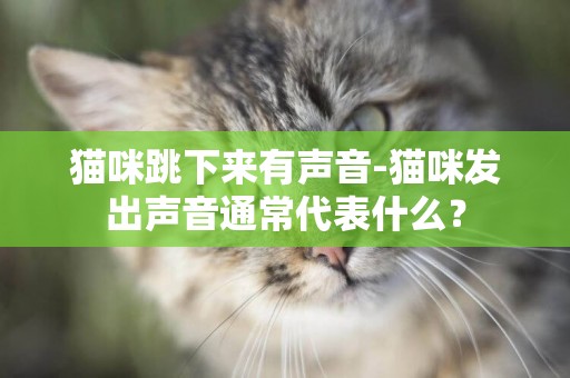 貓咪跳下來有聲音-貓咪發出聲音通常代表什么？