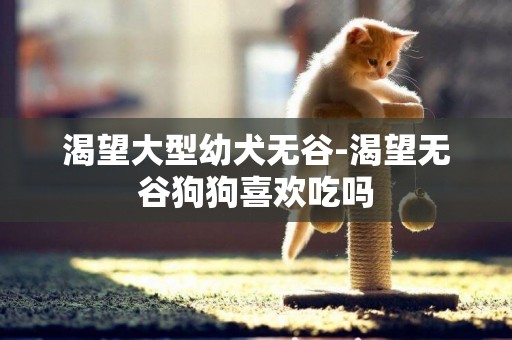 渴望大型幼犬無谷-渴望無谷狗狗喜歡吃嗎