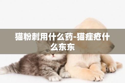 貓粉刺用什么藥-貓痤瘡什么東東