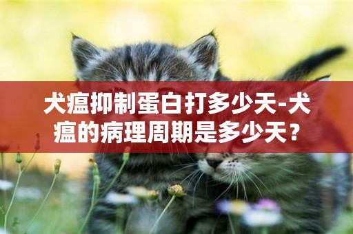 犬瘟抑制蛋白打多少天-犬瘟的病理周期是多少天？