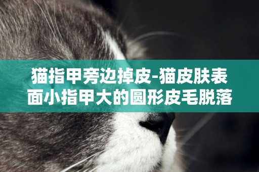 貓指甲旁邊掉皮-貓皮膚表面小指甲大的圓形皮毛脫落