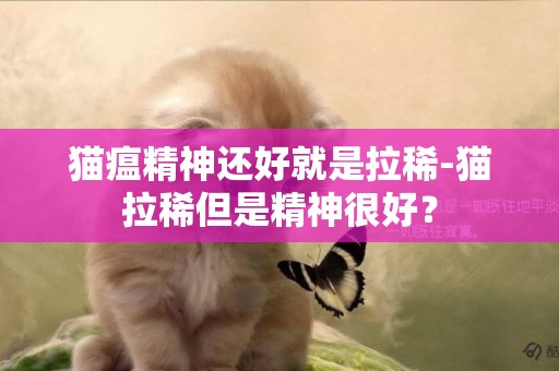 貓瘟精神還好就是拉稀-貓拉稀但是精神很好？