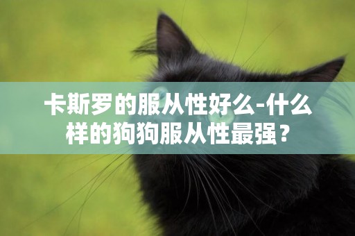 卡斯羅的服從性好么-什么樣的狗狗服從性最強？