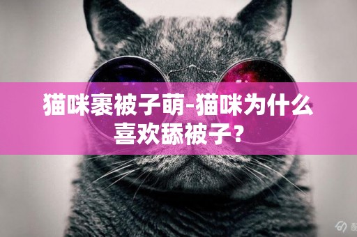 貓咪裹被子萌-貓咪為什么喜歡舔被子？
