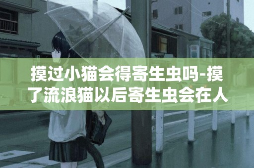 摸過小貓會得寄生蟲嗎-摸了流浪貓以后寄生蟲會在人肚子里嗎