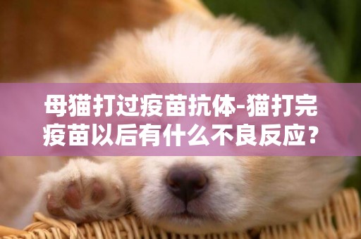 母貓打過疫苗抗體-貓打完疫苗以后有什么不良反應？