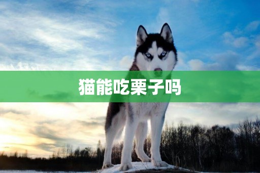 貓能吃栗子嗎