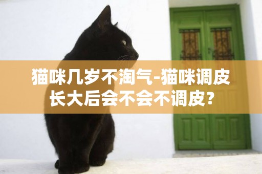 貓咪幾歲不淘氣-貓咪調皮長大后會不會不調皮？